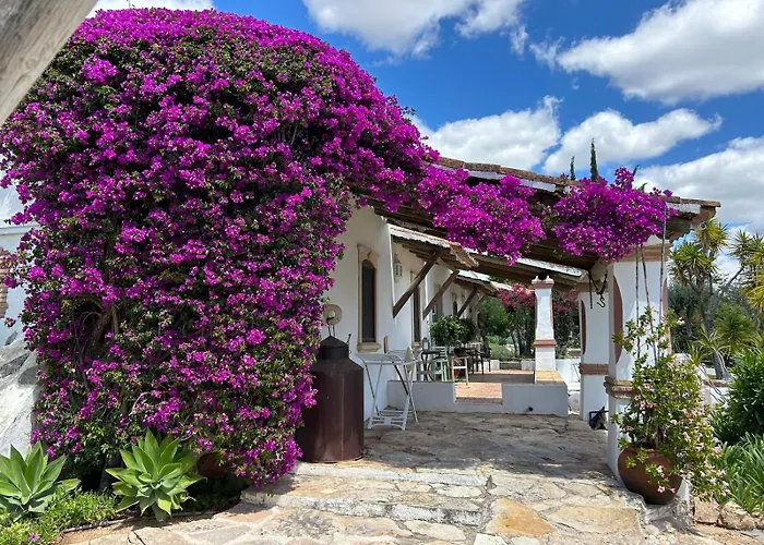 别墅 Flh Belaventura