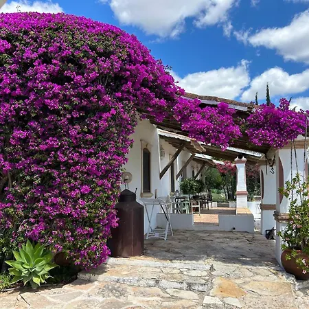 Bed & Breakfast Flh Belaventura Villa